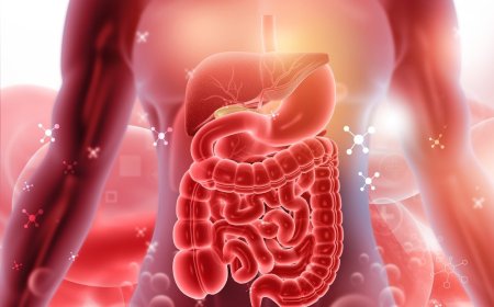 Zašto je Digestivno Zdravlje Ključno za Vaše Ukupno Zdravlje?