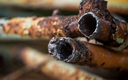 Detoksikacija tijela od teških metala